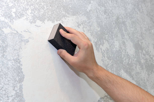 Best Comprehensive Air Testing for Mold Contaminants  in Fircrest, WA