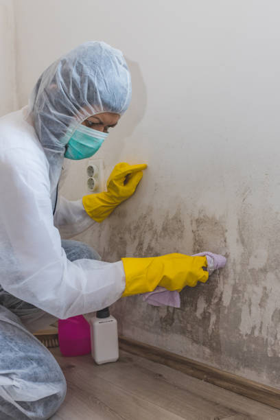 Best Biohazard Mold Removal  in Fircrest, WA