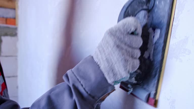 Trusted Fircrest, WA Mold Removal Experts
