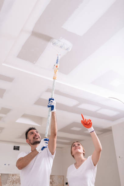 Best Black Mold Removal  in Fircrest, WA