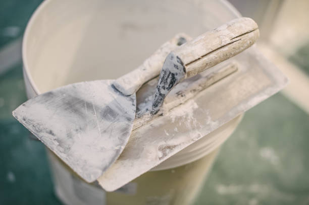 Best Environmental Consulting for Mold Prevention  in Fircrest, WA